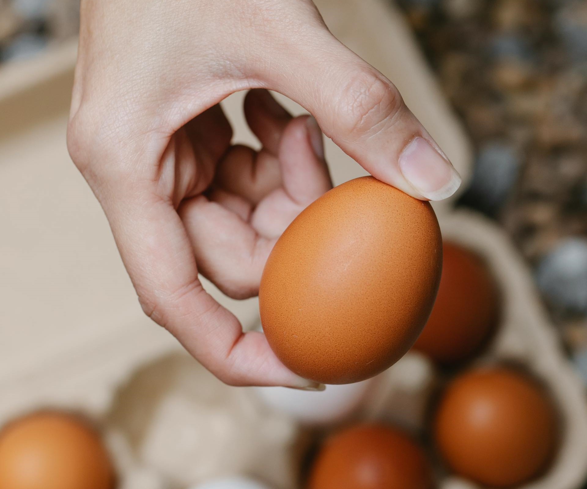 Comment savoir si un œuf est bon à consommer ?