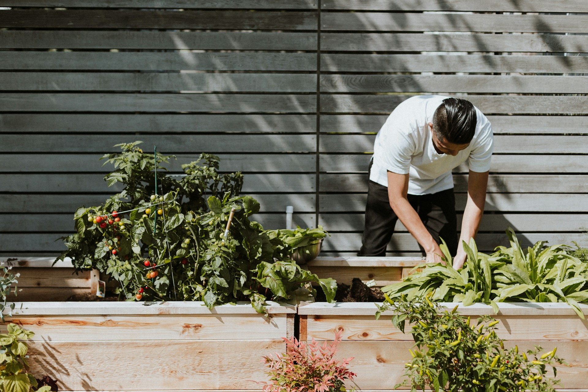 Unlocking the Green and Blooming Secrets: Traditional Gardening Tips for a Sustainable and Colorful Garden