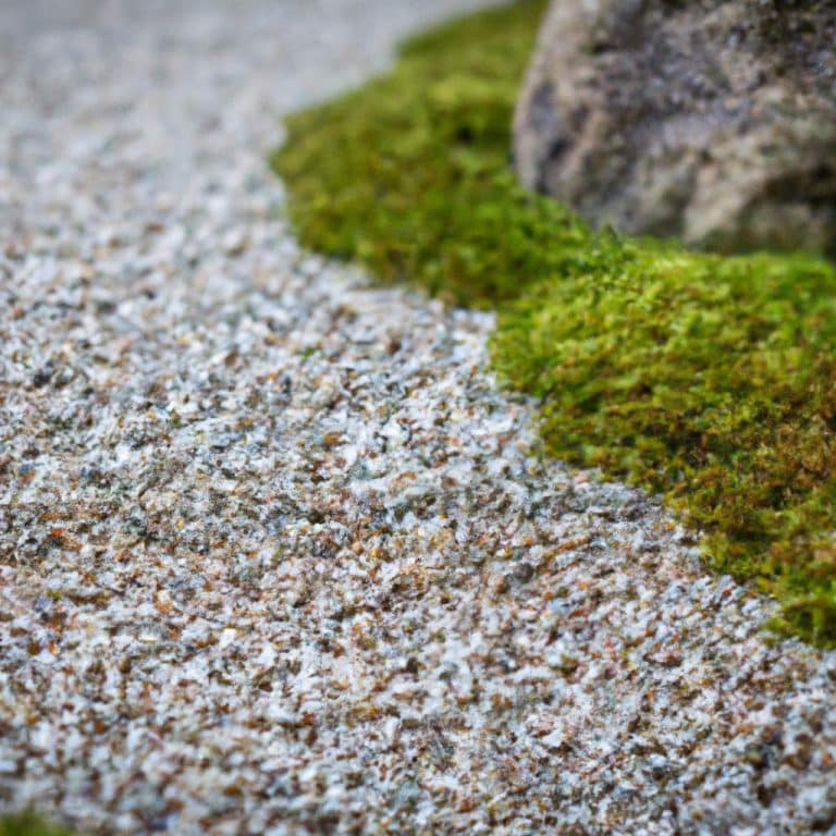 Discover the Life-Changing Benefits of Mindfulness Today!