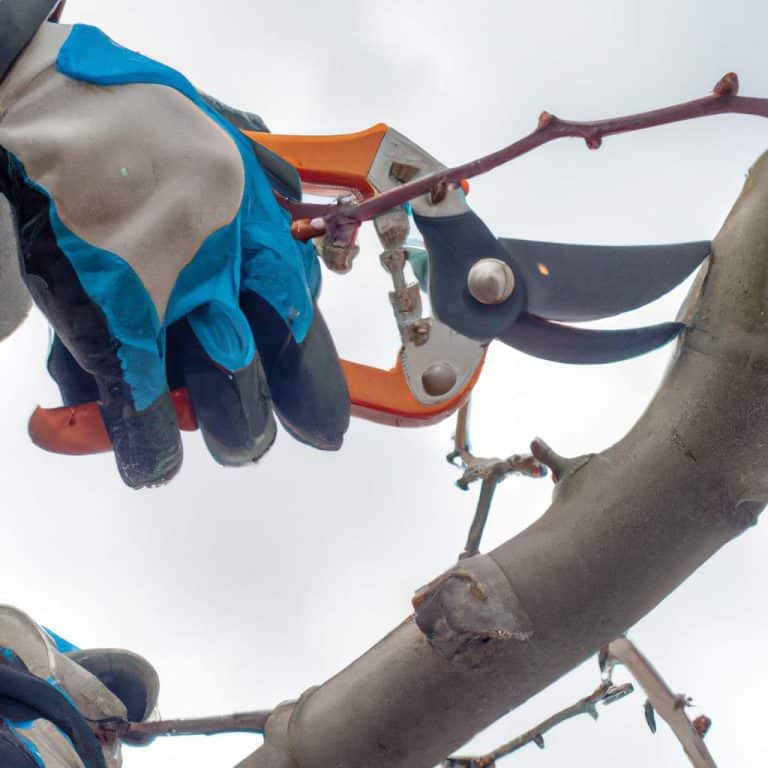 Discover the Secrets of Effective Tree Pruning: A Step-by-Step Guide!
