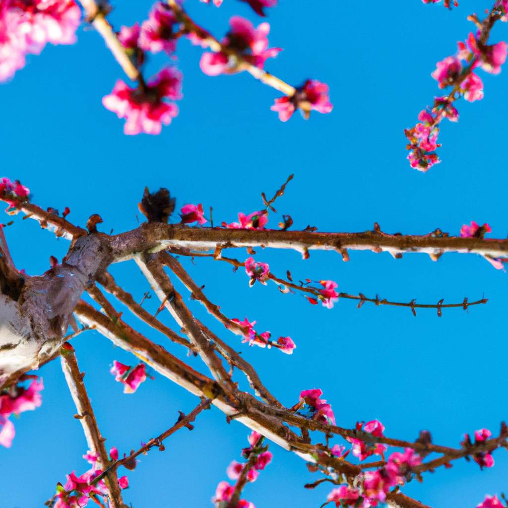 È possibile potare un albero durante la primavera?