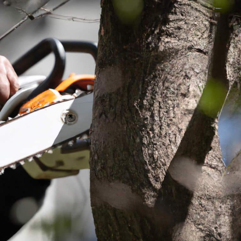 Le titolo unico e coinvolgente per l'articolo potrebbe essere: "Scopri le 5 fasi essenziali per l'elagaggio degli alberi e garantisci la loro salute!