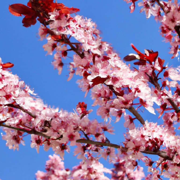 Scopri i segreti dell'elagaggio primaverile degli alberi!