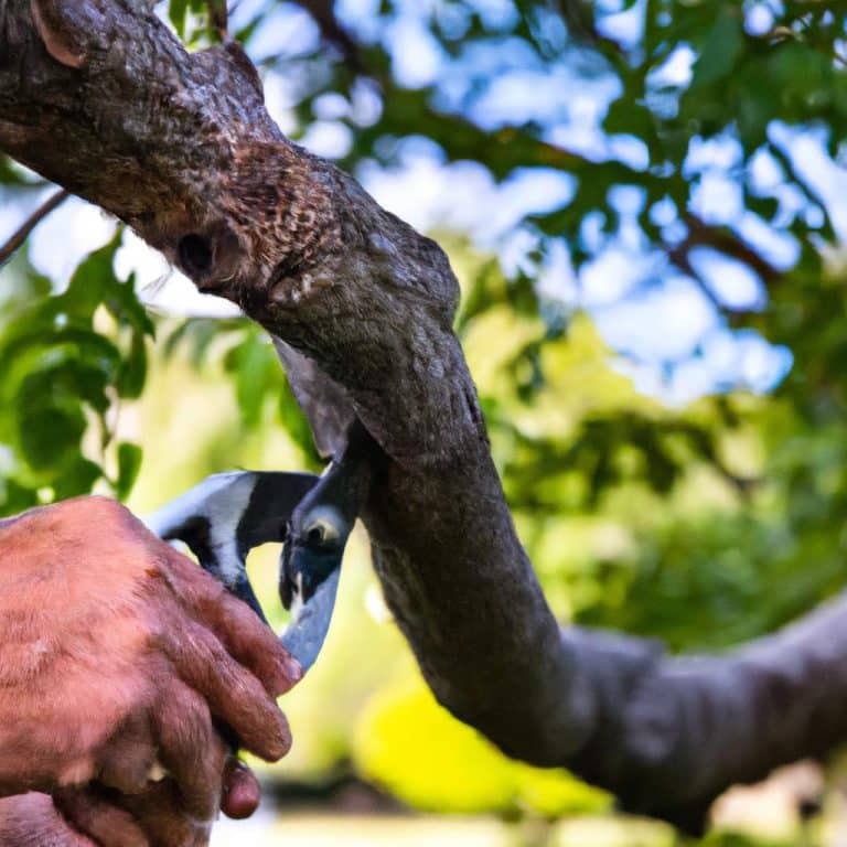 The 5 Must-Follow Steps for Perfect Tree Pruning