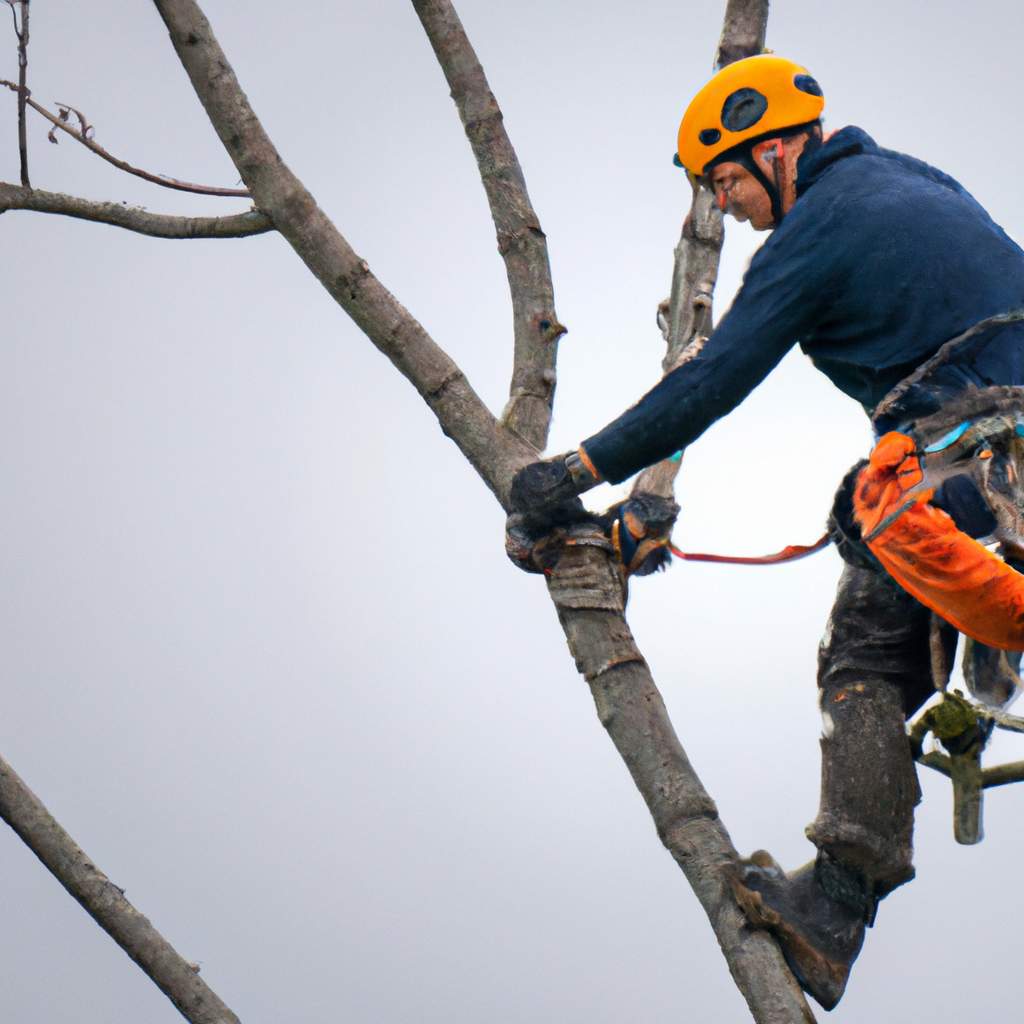 The Key Stages of Tree Pruning: A Comprehensive Overview