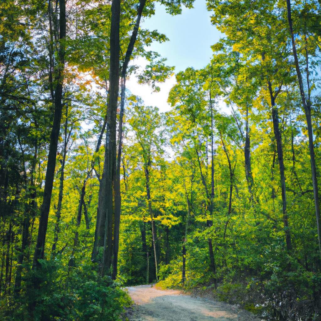 The Surprising Ways Exercise Boosts Well-being and Enhances Health
