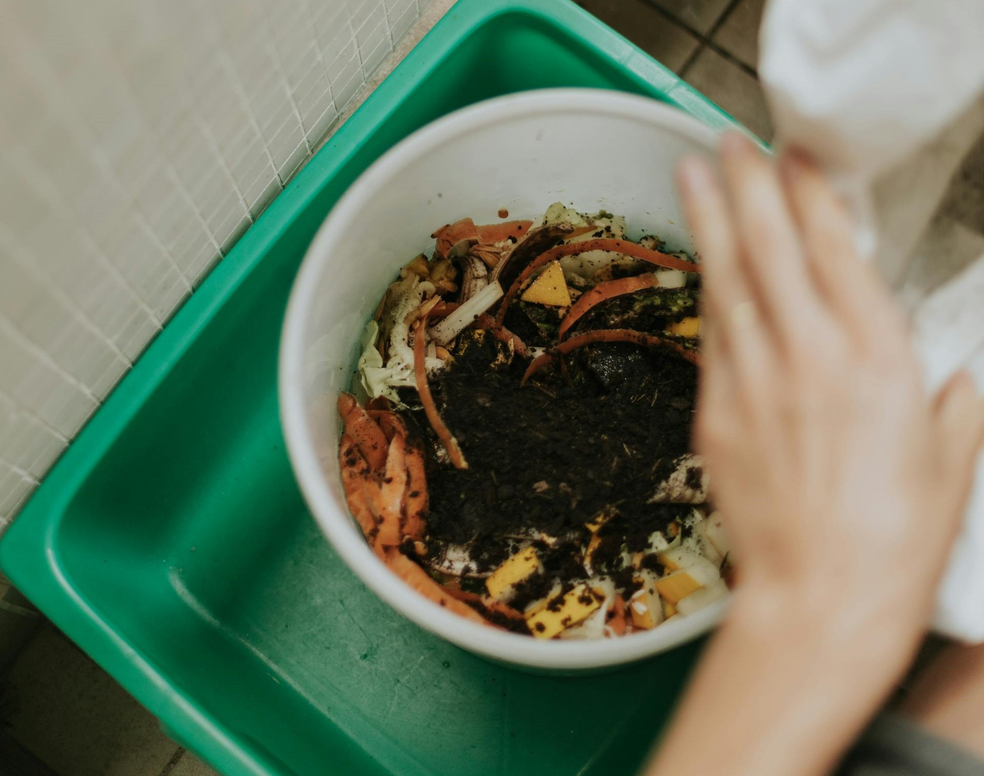Unlock the Secret to Rich, Fertile Soil: The Ultimate Composting Guide!
