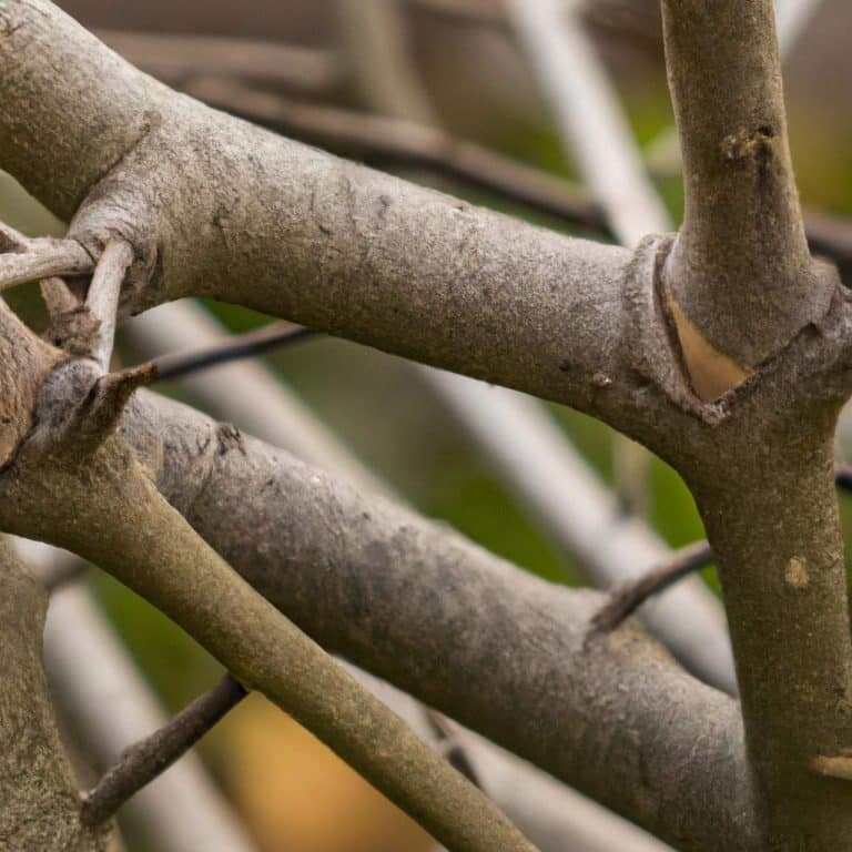 Unlock the Secrets of Tree Pruning: Your Ultimate Seasonal Guide!