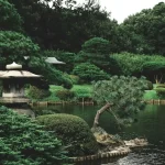 creer un jardin zen — Créer un jardin zen : plantes jardin japonais