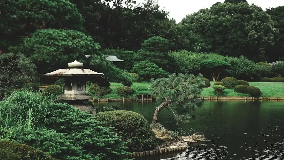 creer un jardin zen — Créer un jardin zen : plantes jardin japonais